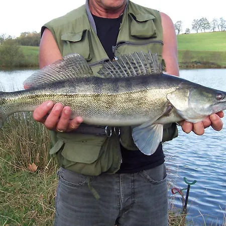 Domaine Harrieta * Saint-Jean-le-Vieux (Ain)